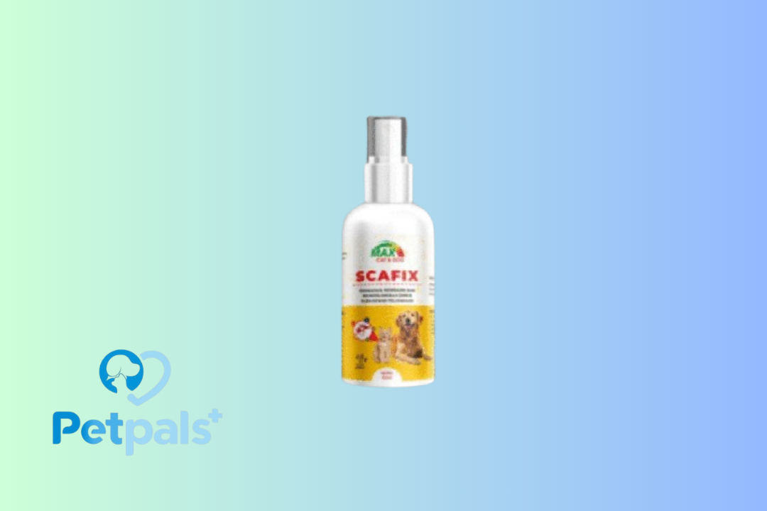 Max Scafix 60ml SPRAY ANTI FLEA JAMUR